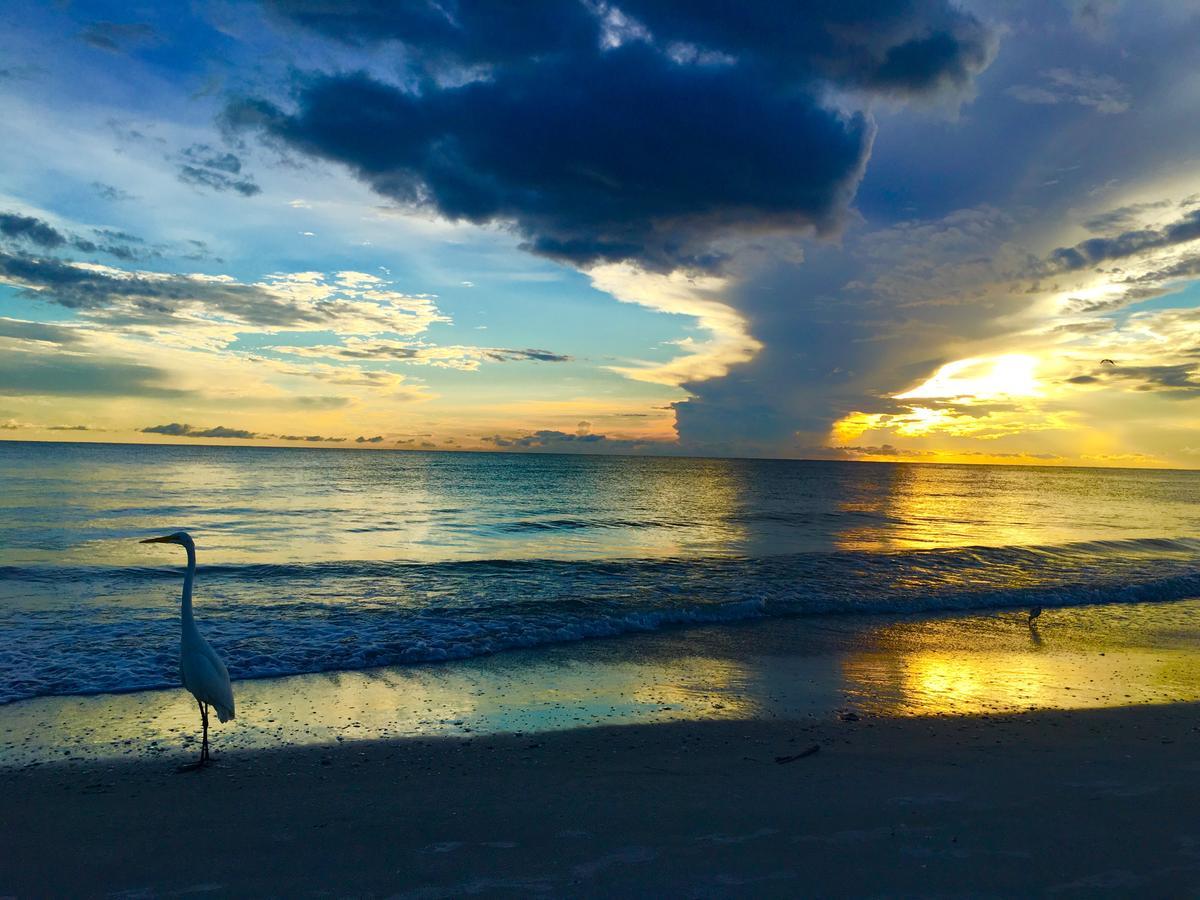 Motel Carousel -redington Shores 2*